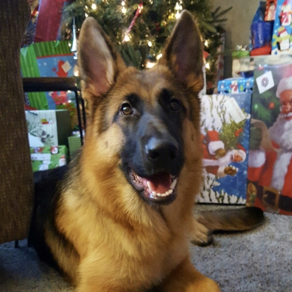 Share here! โค chat here! - Picture 11 of 15